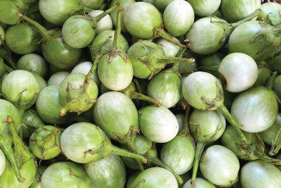 the green dotcom Brinjal Green Seed(120 per packet)