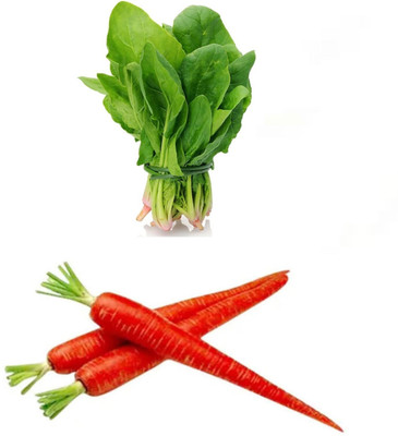 PSAgroinput Spinach carrot Vegetable Seed(100 g)