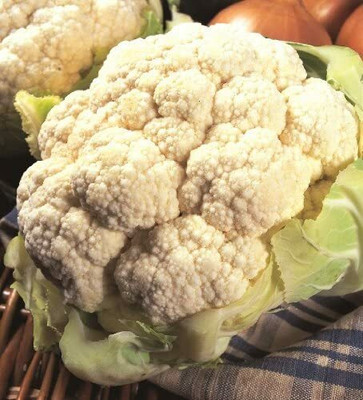 CYBEXIS CAULIFLOWER - All year round2000 Seeds Seed(2000 per packet)