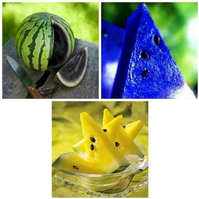 KNESSiN Yellow Black & Blue Watermelon Dwarf Potted Fruit Combo[100 Seeds] Seed(100 per packet)