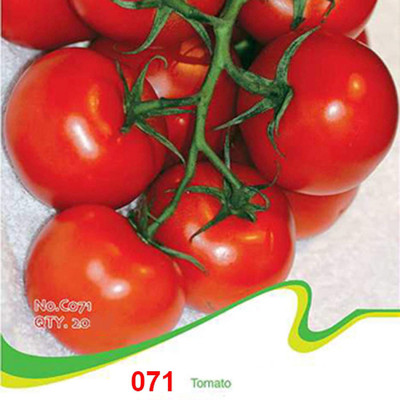 CYBEXIS Zebra Tomato Seeds500 Seeds Seed(500 per packet)