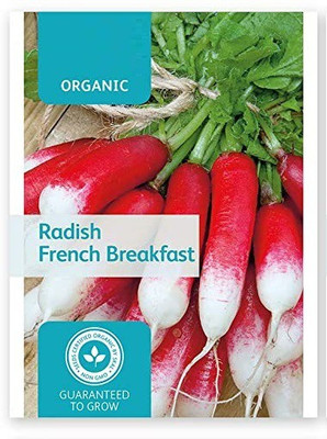 CYBEXIS Radish2400 Seeds Seed(2400 per packet)