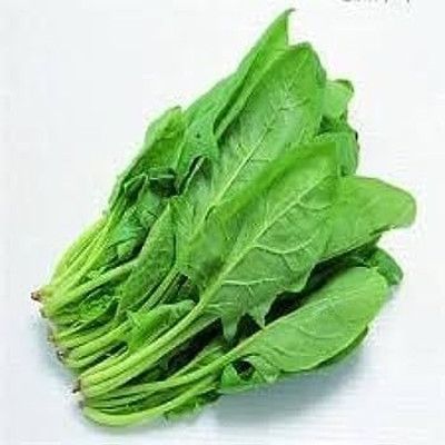 BDSresolve palak seeds for home garden/palak seeds 800 Seed(800 per packet)