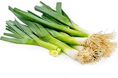 WILLVINE Seeds Maxe Bunching Onion Spring Cut Variety-[5000 Seeds] Seed(5000 per packet)