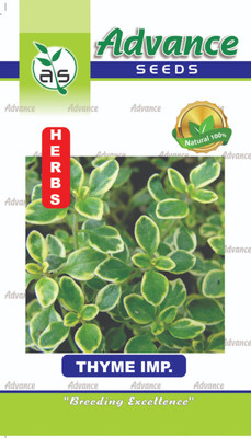 JD AGRO HB-511-THYME Seed(30 per packet)