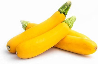 CYBEXIS XLL-18 - Golden Zucchini Summer Squash - (75 Seeds) Seed(75 per packet)