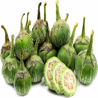 VibeX VXI-2 - Green Round Brinjal Seed(1350 per packet)