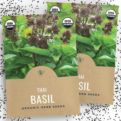 Qualtivate PAU-97 Non-GMO Thai Basil Seeds Seed(1000 per packet)