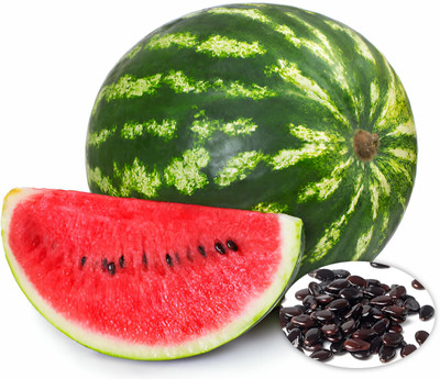 Seedsilk Store Hybrid Watermelon/ Tarbuj Fruit Seeds - Giant Fruit Sugar Baby Seed(50 per packet)