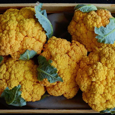 Aywal Yellow cauliflower Gobi Seed(10 per packet)