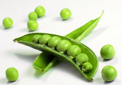 Qualtivate LX-520 Super Sugar Snap Pea Seeds Seed(50 per packet)