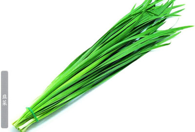 CYBEXIS Original Chive Organic Herb Seeds2800 Seeds Seed(2800 per packet)