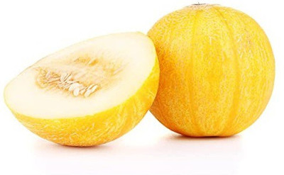 VibeX XL-46 - Musk Melon Golden (Orange Flesh) - (1350 Seeds) Seed(1350 per packet)