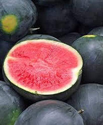 Aywal Watermelon Seed(550 per packet)