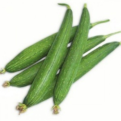 Qualtivate HYB-3A Hybrid Sponge Gourd Seeds Seed(50 per packet)