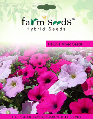 CYBEXIS Petunia Mixed Seeds Seed(1 g)
