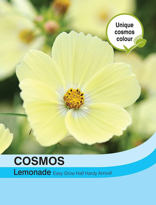 CYBEXIS Cosmos Lemonade Seed(1 g)