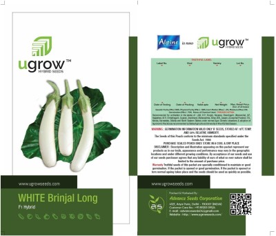 agri max gardens BOUNTIFUL HARVEST LONG WHITE BRINJAL SEEDS & PLANT Seed (50 per packet) Seed(50 per packet)