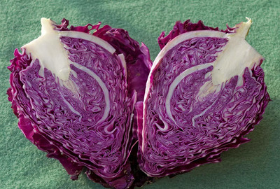 WILLVINE VMR -V Red Cabbage F1 Hybrid Seeds [2.5g] Seed(750 per packet)
