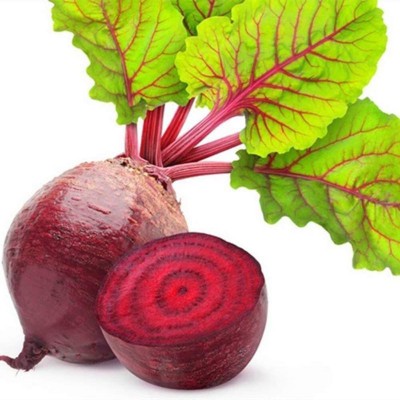 Qualtivate ™ Beetroot Seeds Seed(100 per packet)