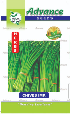 JD AGRO HB-503-CHIVES Seed(40 per packet)