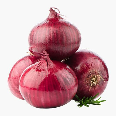 Qualtivate JXL-8AT Pusa Red Onion Seeds Seed(500 per packet)
