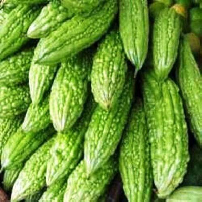 VibeX XL-97 - Pusa Vishesh Bitter Gourd (Karela) - (100 Seeds) Seed(100 per packet)