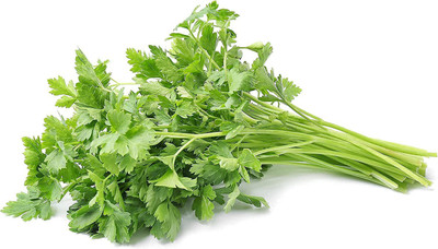 VibeX LX-13 - Organic Cilantro - (2250 Seeds) Seed(2250 per packet)