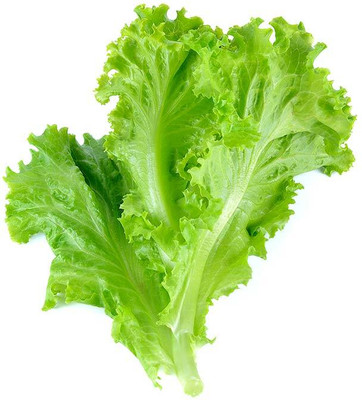 EcoFusion lettuce seeds Seed(120 per packet)