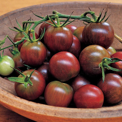 Biosnyg Fast Growing Black Pearl Cherry Tomato Summer Seeds For Gardening - (2000 Seeds) Seed(2000 per packet)