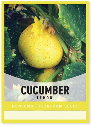 Biosnyg Cucumber Lemon -[1000 Seeds] Seed(1000 per packet)