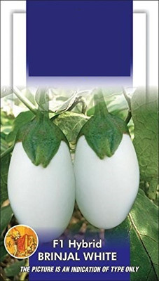VibeX ® RXI-69 Brinjal F1 White Oblong Seed(200 per packet)