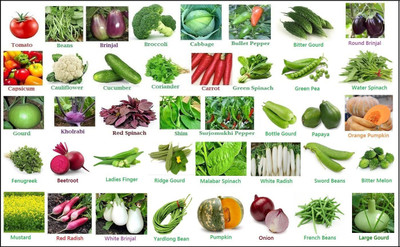 CYBEXIS 50 Varieties Premium Vegetables Seeds Seed(10 g)