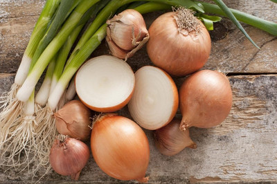 Biosnyg Non GMO Giant Chalcedon Onion Seeds for Terrace Gardening-(750 Seeds) Seed(750 per packet)