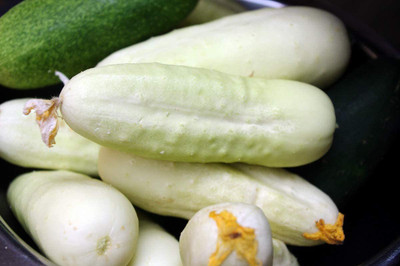 WILLVINE GBPUT-324 White Cucumber Pickling Seeds Seed(200 per packet)