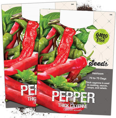 WILLVINE F1 Hybrid Thick Cayenne Chile Pepper (Capsicum annuum)-5000 Seeds Seed(5000 per packet)