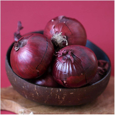 KNESSiN High Yield Red Burgundy Onion Seeds For Planting-(2400 Seeds) Seed(2400 per packet)
