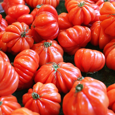 Biosnyg Organic Ruffled Tomato Seeds For Growing - (1000 Seeds) Seed(1000 per packet)