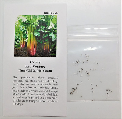 CYBEXIS KGF -20 - Celery Red Venture - (2250 Seeds) Seed(2250 per packet)
