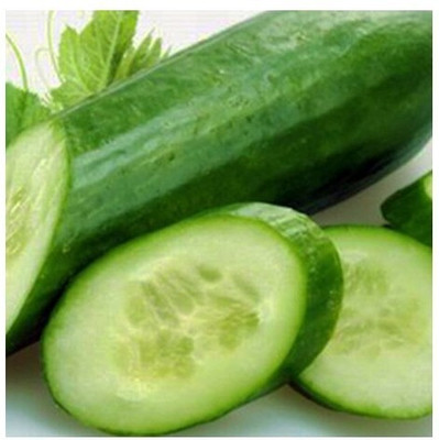 Quentova CUCUMBER PIPENEX F1 HYBRID-NDIR-3L Seed(200 per packet)