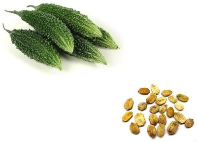 Quentova Bitter Melon Organic Seeds-LTK Seed(50 per packet)
