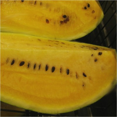 Biosnyg HFD-72 Mountain Sweet Yellow Watermelon (Citrullus lanatus)-[400 Seeds] Seed(400 per packet)