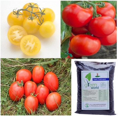 CYBEXIS Tomato Cherry Honey + Tomato Ashiayan + Tomato Daksh Sona Seed(10 g)