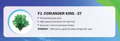 CYBEXIS F1 CORIANDER KING - 27(5000 Seeds) Seed(5000 per packet)