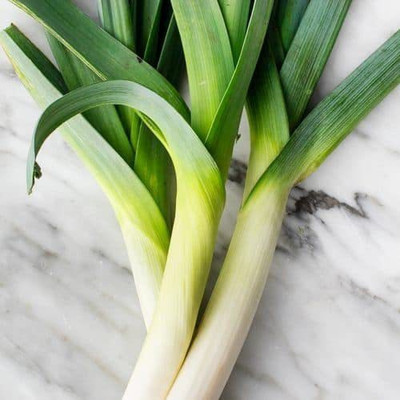 KANAYA Leek / Green Spring Onio+AN+AN5:AN97 Seed(110 per packet)