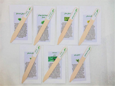 WILLVINE Basil Collection - 7 of Our Most Tasty Basil Seeds-[2000 Seeds] Seed(2000 per packet)
