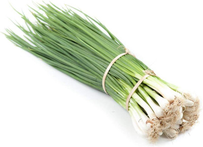 Qualtivate PUA-1A Evergreen Bunching Nebuka Onion Seeds Seed(500 per packet)