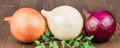 CYBEXIS VVI-4 - Onion Rainbow Mix Neutral - (4500 Seeds) Seed(4500 per packet)