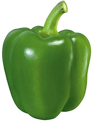 VibeX ® VXI-17 Green Capsicum F1 Hybrid shimla mirch Seed(200 per packet)