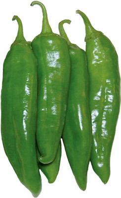 Biosnyg Heritage NuMex 6-4 Mild Green Pepper Seeds For Planting-(4000 Seeds) Seed(4000 per packet)